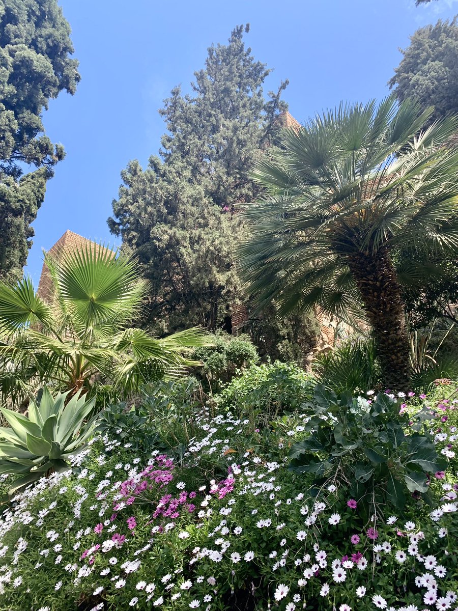 AlisonAndalucia's tweet photo. Spent a fab day in #Malaga meeting up with Susan who I met on the Camino last year and who’s on holiday in #Andalucia from NYC. It’s a city I’ll never get tired of visiting, and the Alcazaba is especially lovely in spring. https://t.co/1vLCSo9zoA