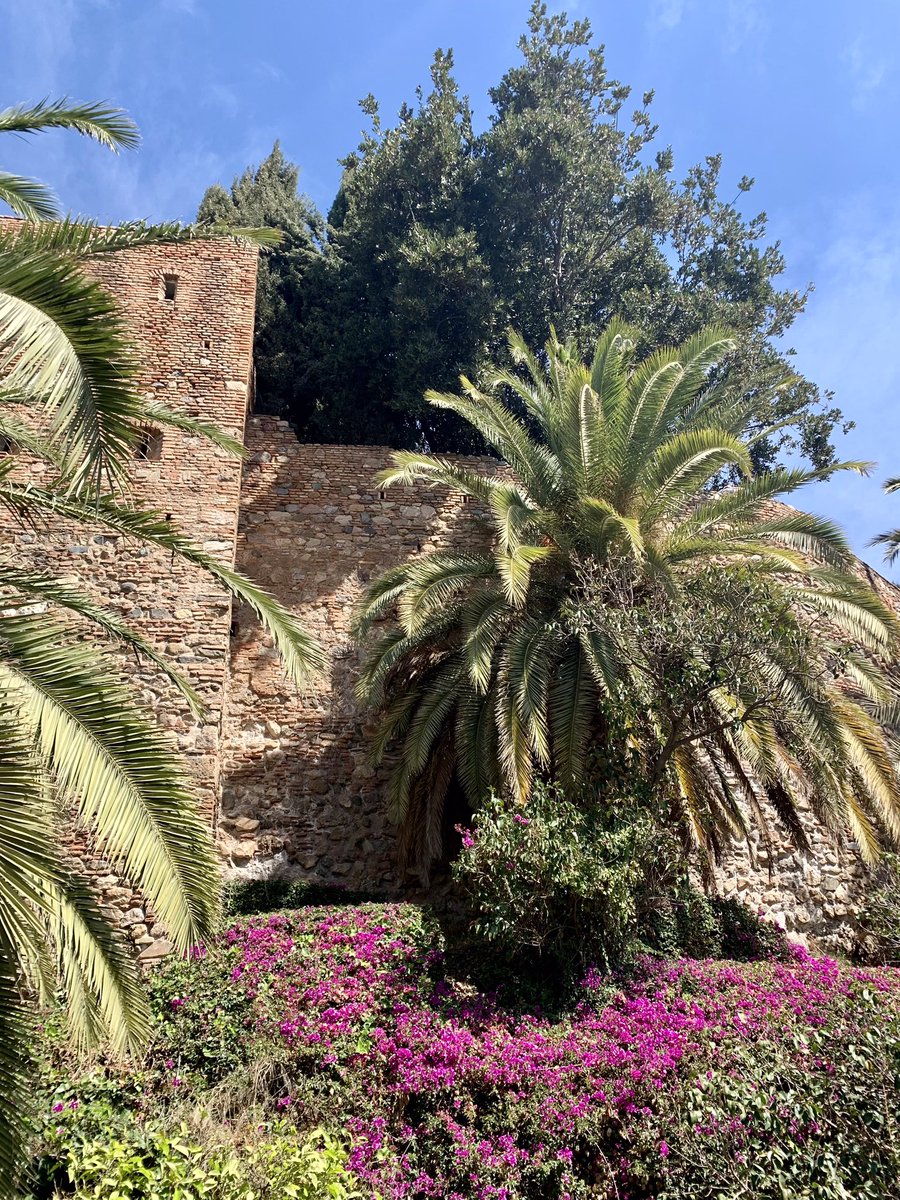 AlisonAndalucia's tweet photo. Spent a fab day in #Malaga meeting up with Susan who I met on the Camino last year and who’s on holiday in #Andalucia from NYC. It’s a city I’ll never get tired of visiting, and the Alcazaba is especially lovely in spring. https://t.co/1vLCSo9zoA