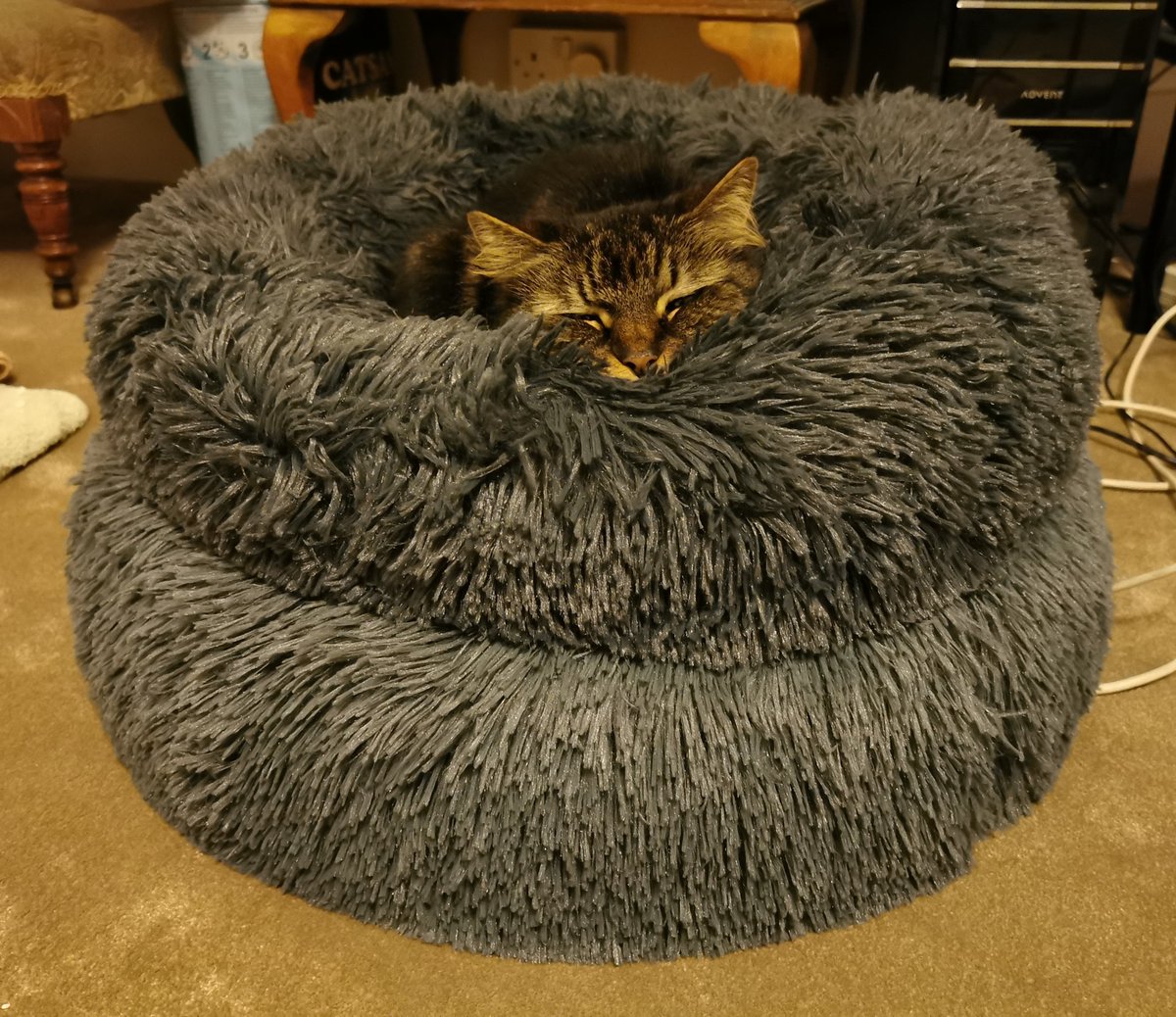 Dick King-Smith HQ tweet media