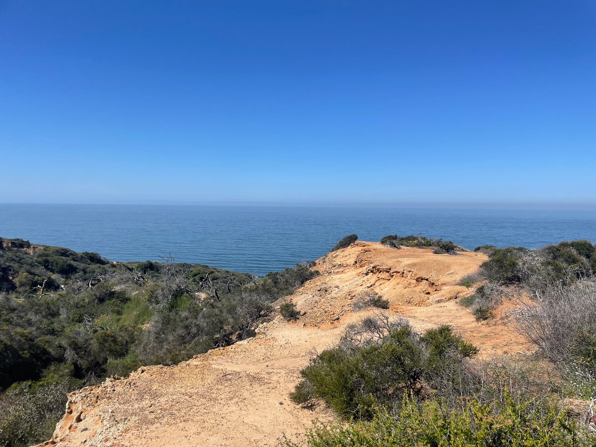 No trip to San Diego and #AKICRRT2023 is complete without a hike at beautiful Torrey Pines State Park. @crrtonline  #momsdayout #worklifebalance