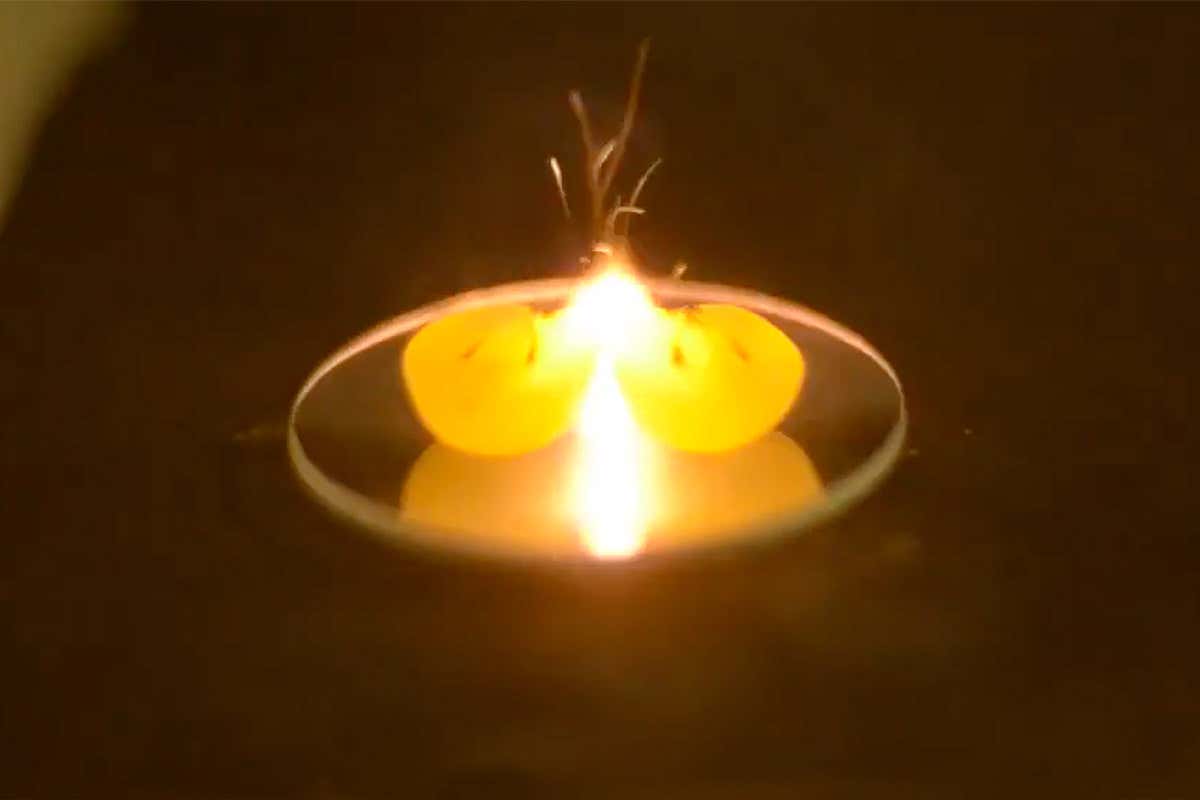 Andrew Maris tweet media