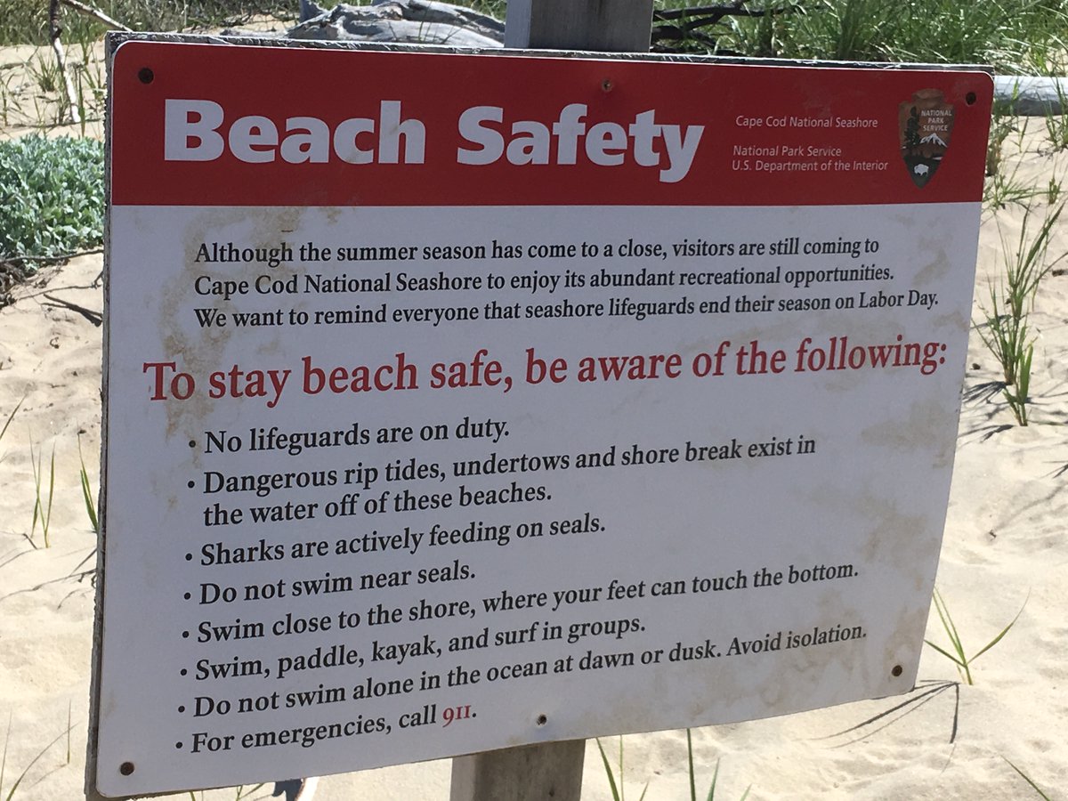 Bruce Kellison tweet media