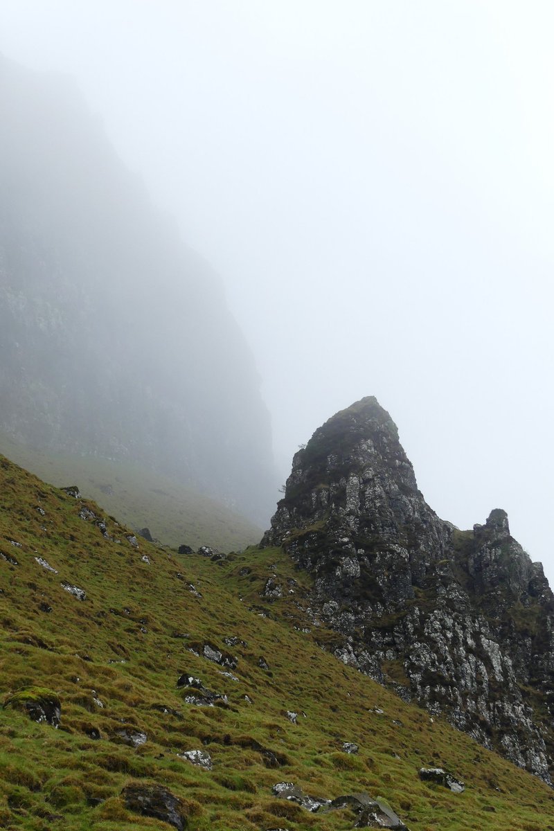 While not as extensive as at my usual Pen-y-ghent pilgrimage, it was wonderful to see Purple Saxifrage on the basalt escarpment of Benevenagh, Co. Londonderry today <a href="/BSBIbotany/">BSBI: Botanical Society of Britain & Ireland</a> <a href="/BSBI_Ireland/">BSBI Ireland</a> <a href="/BinevenaghLPS/">Binevenagh & Coastal Lowlands LPS</a> @cedarnmni