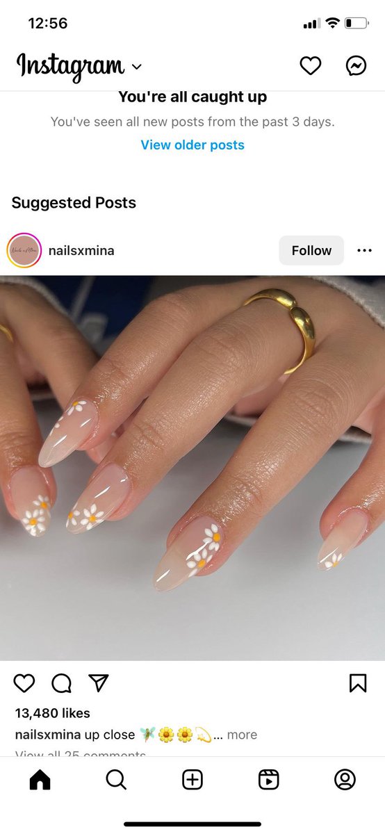 What she got be. What she wanted 🌼
•
#acrylicnails #almondnails #fullsetnails #flowernails #springnails #mattenails #nails #nailsdesign #nailsofinstagram #nailinspo #nailart #sarathachsart
