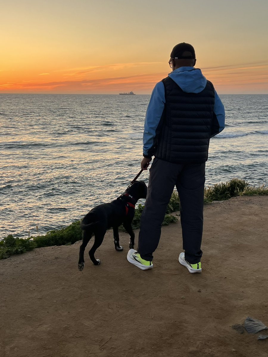 My first sunset! I was running, jumping, giving licks, and getting love from all the people — it was awesome 🐶🐾☀️ #dogsoftwitter #hwac #rescuedogs