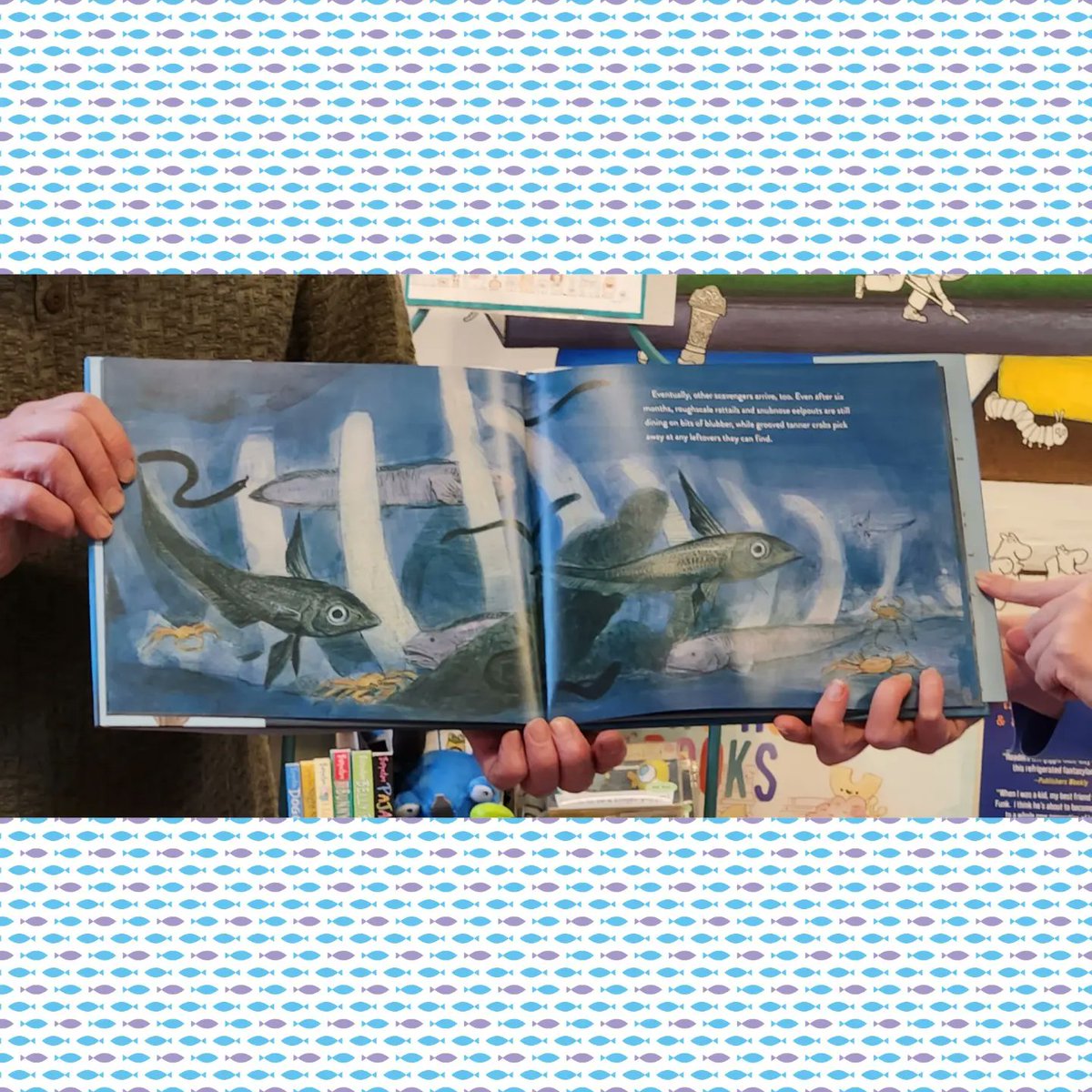 Celebrating WHALE FALL with @mstewartscience & #RobDunlavey at @SilUnicornActon 🐋🌊🦑🪼! Snagged my signed copy 🥳. 

Don't miss this stunning & poetic #STEM  #oceanecosystem #picturebook @SteamTeamBooks
From @randomhousekids 
#kidslovenonfiction