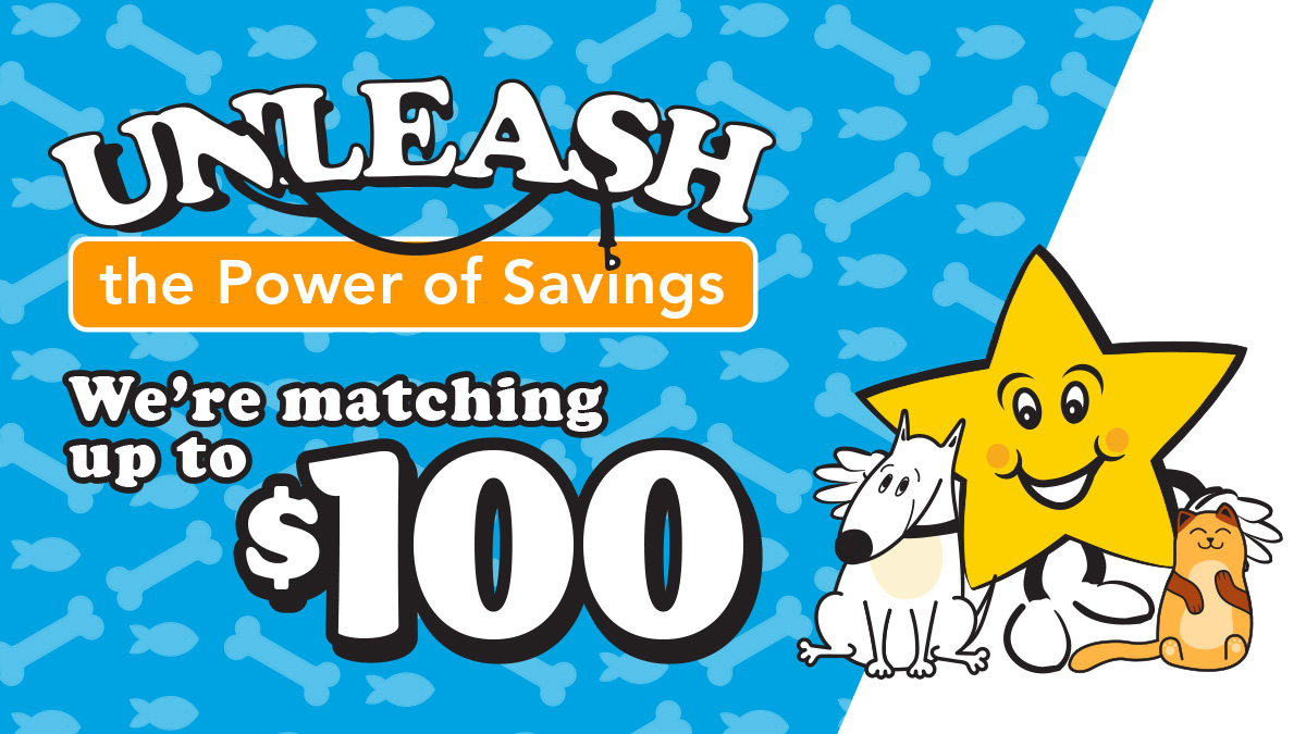 RedstoneFCU's tweet photo. Now until April 30th, 2023, we are matching the average daily balance up to $100 when you open your childβs first savings account using code YOUTH.ππ #rfcu #redstonefcu #savings #youthsavings
Click this link to find out more https://t.co/bQ3JeiU191
Insured by NCUA. https://t.co/Okw6gzKiqZ