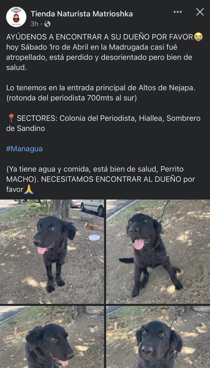 sosfirulai's tweet photo. ๐๐๐๐๐๐ป๐๐ป๐๐ป๐๐ป๐๐ป๐๐๐๐ AYUDEMOS A ENCONTRAR A SU FAMILIA!! #SOSNICARAGUA #SOSFIRULAI https://t.co/qQRll4NlJn