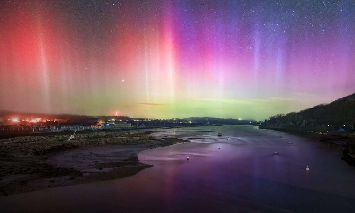 Tim White tweet media