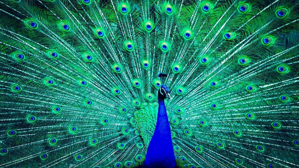 Risale-i Nur / İkinci Şua / 19. Zihayatta tezahür eden temerküz-ü esmâî, cilve-i taayyün ve teşahhus…
risaleizah.com/19-zihayatta-t…

#risaleinur #risaleinurkülliyatı #risale #risaleinurokuyoruz #risaleizah #bediüzzaman #saidnursi #tefekkür #risaledersleri #risalesohbetleri #hzmuhammed