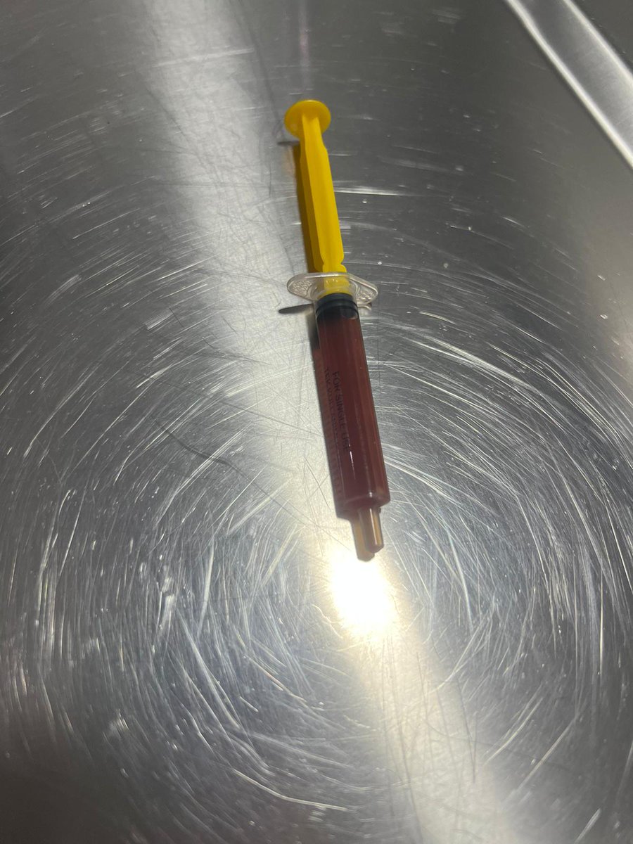 Hi, hello, I have a dua request!

Today I found blood in Sushi's urine and we rushed her to the clinic. The red liquid in the syringe is her bloody urine.

She is now on medication and a special diet. Tomorrow she's getting scanned for kidney stones.

Can you make dua for her? 😭
