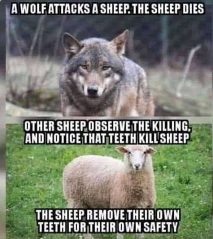 Aaron Ray Hermes 🦅🇺🇸 tweet media