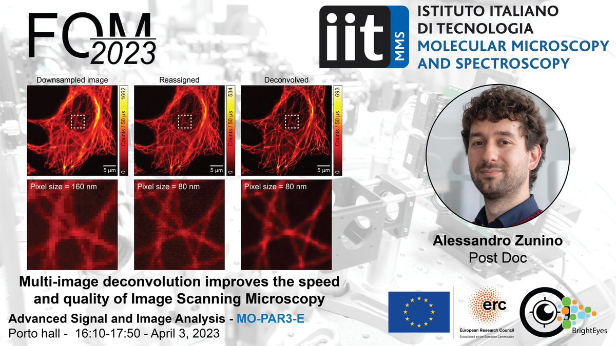 ZuninoAle's tweet image. If you are in Porto to attend @FOMconferences, come to my talk to discover how tailored image processing can drastically increase acquisition speed and the quality of #ImageScanningMicroscopy data!

@VicidominiLab
@IITalk

#BrightEyes_ERC #SPAD
