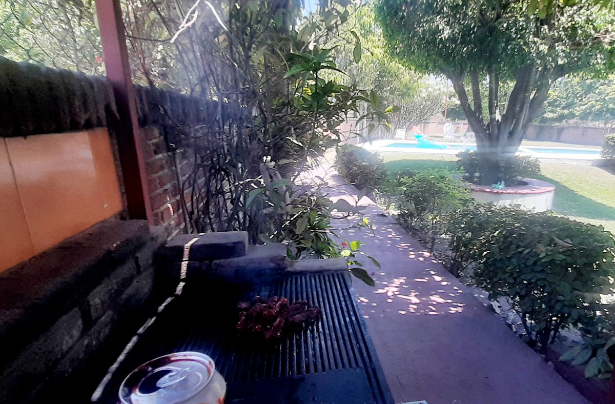 Helljoy08's tweet photo. Señor, discúlpame, pero el día esta como para una carnita asada... 
#YoPecador #FelizSabado https://t.co/Ioz0aM5fRv