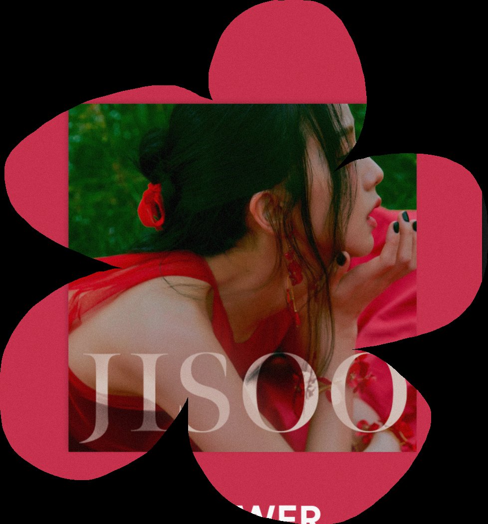 irksomi's tweet photo. Flower-shaped screenshot because I love the cover so much. https://t.co/JkeylIawiL