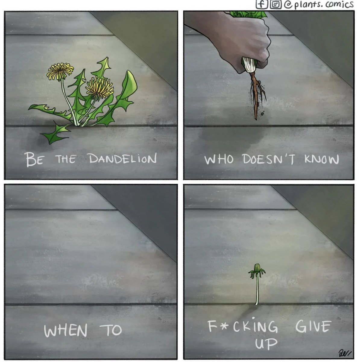 Planta_muerta's tweet image. 🥲