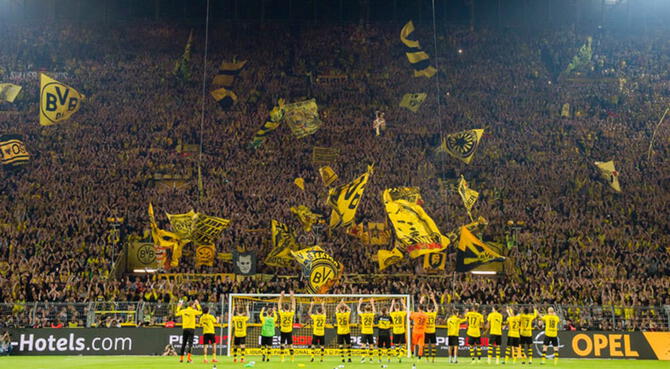 BVB.Cat tweet media