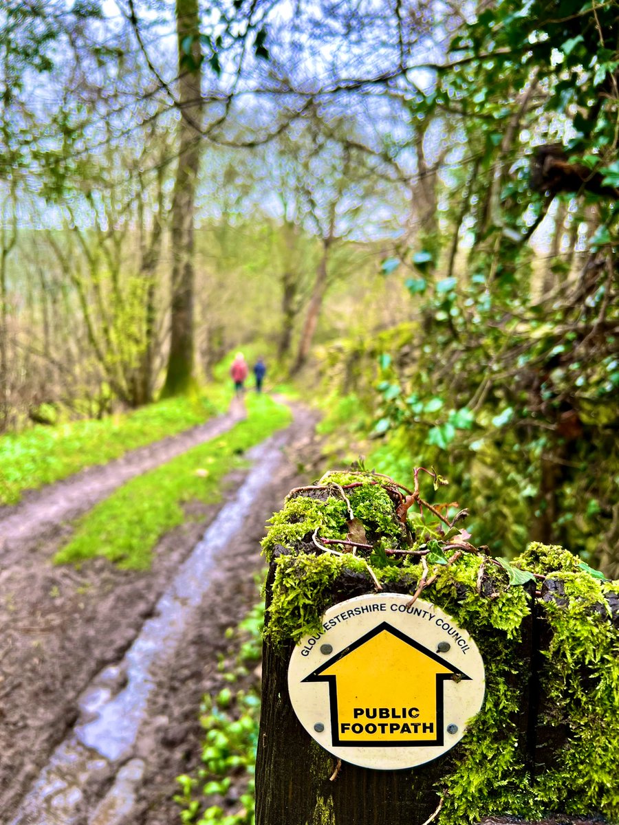 JoJess5's tweet photo. Muddy paths after the rain today on the #cotswoldway #ozleworth https://t.co/CebQpj8Hdm