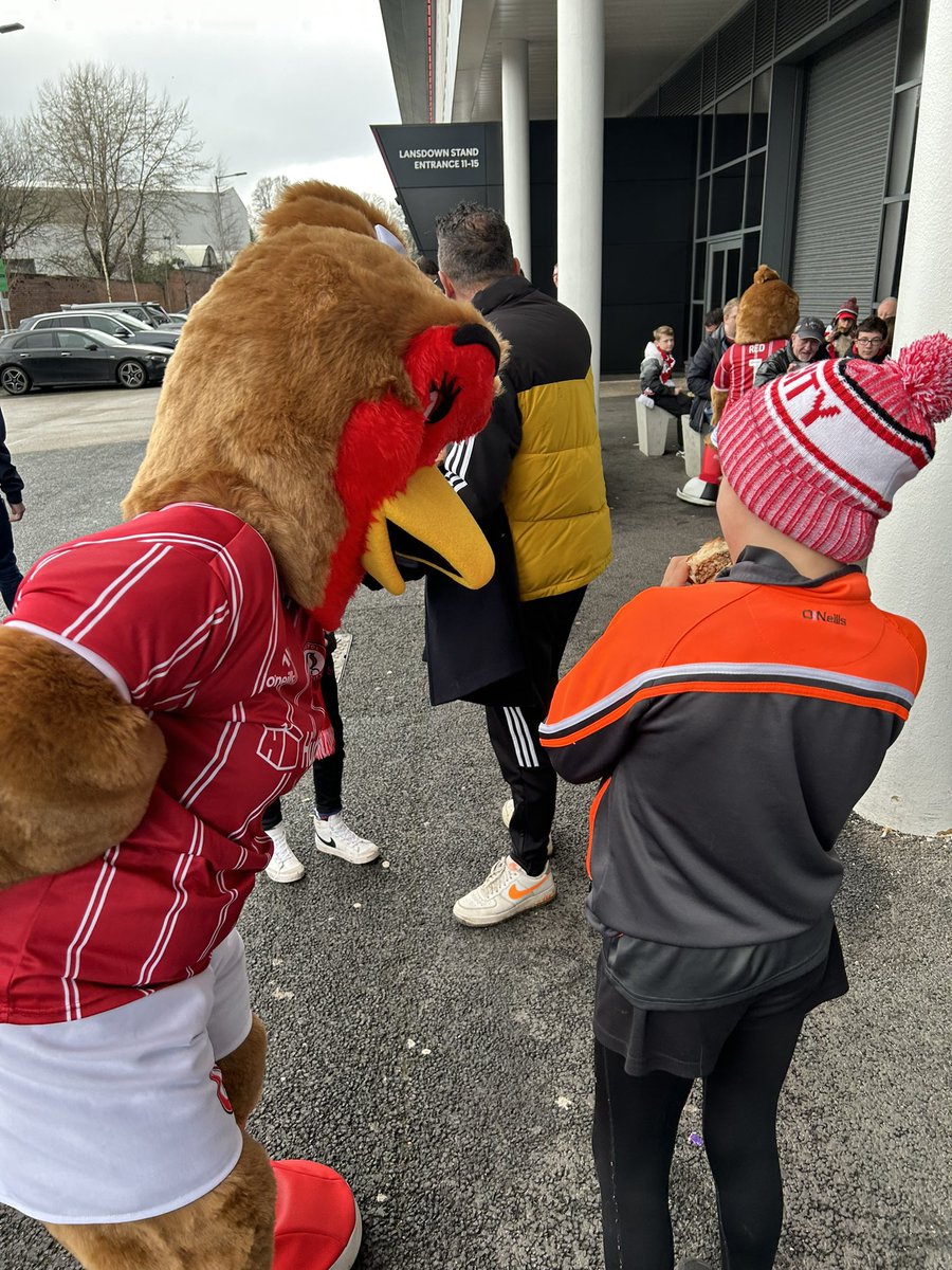 dave_stokes1's tweet photo. When Robyn the Mascot tried to have a bite of Harley’s burger before today’s match, there was only ever going to be one winner 😂😂 @BristolCity … #prematchfun https://t.co/iOx6oydjj5