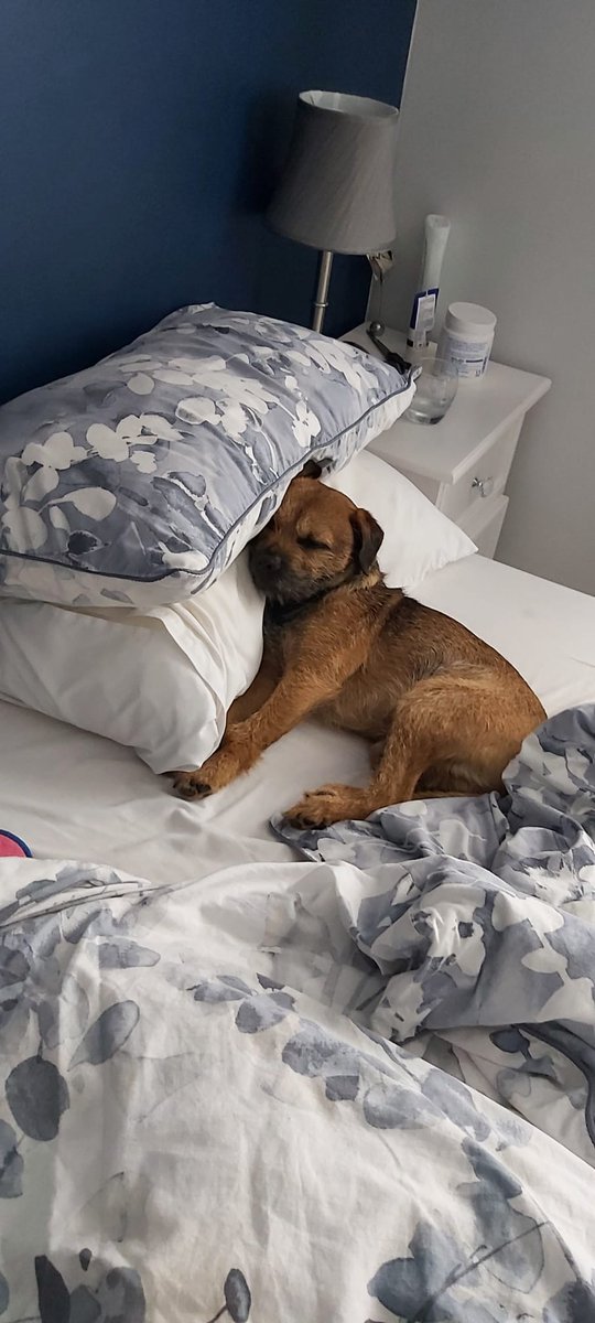 Barney the BT tweet media