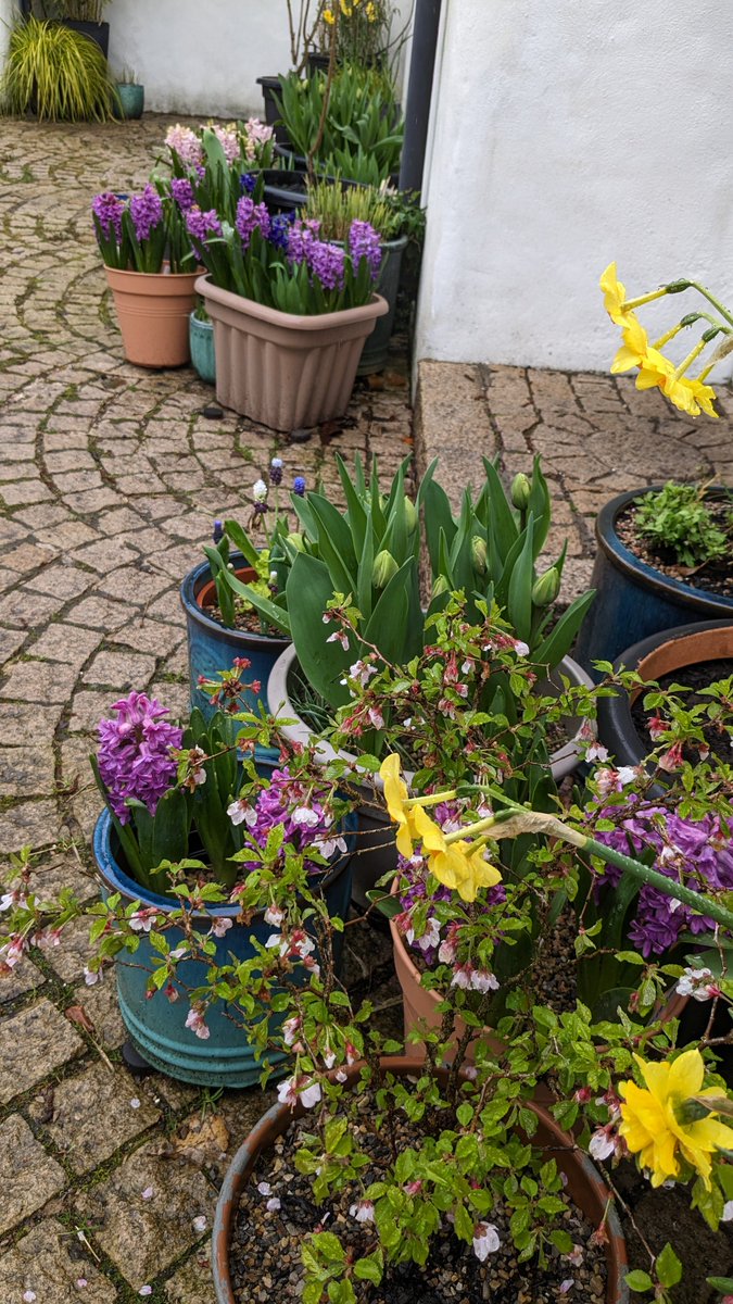 Jules_Gardenwilde tweet media