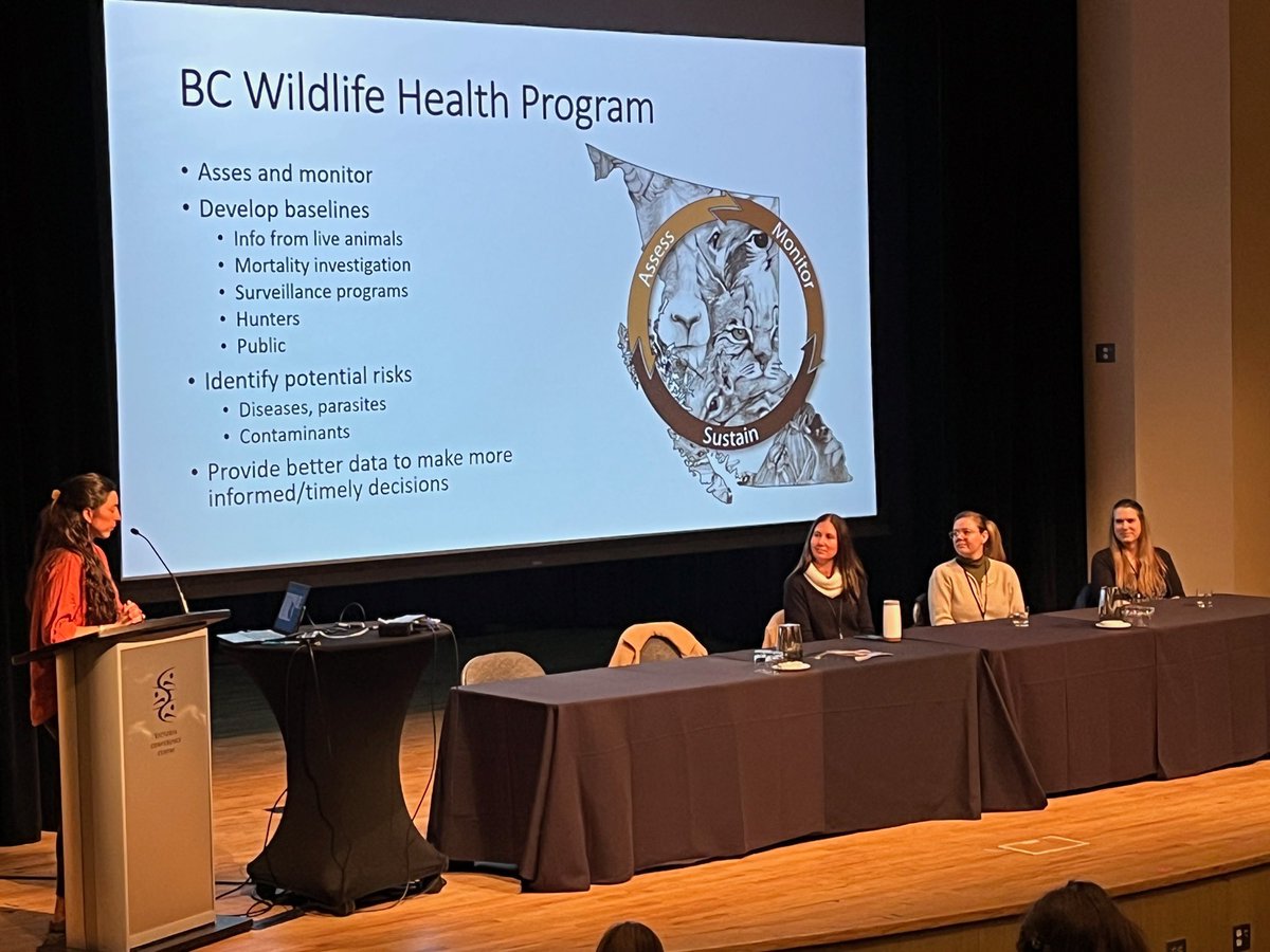 AbbeyEWilson's tweet photo. Thanks to this fantastic panel at #BCTWS2023 on #wildlifehealth! It was a perfect segue into talking about using hormones for long term health monitoring in 🐻 @bc_tws @theCSTWS https://t.co/An7qscrgA4