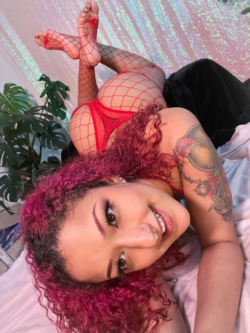 daisyducati