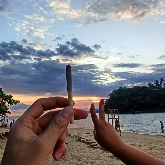 pearldjonga's tweet photo. luau bom https://t.co/wO5PQRLx53