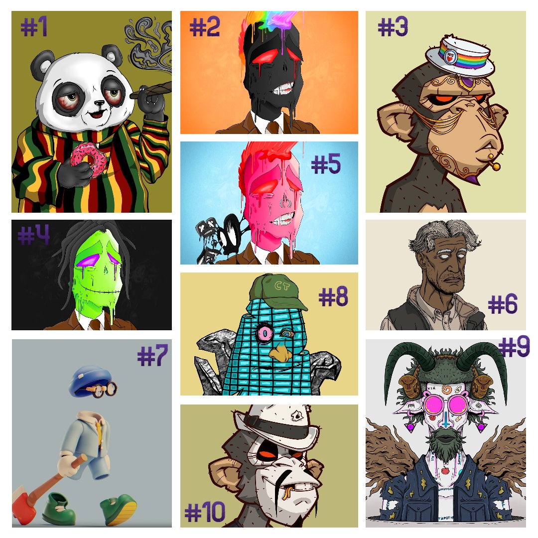 𝗕𝗨𝗡𝗡𝗜𝗖𝗢𝗥𝗡𝗦 tweet media