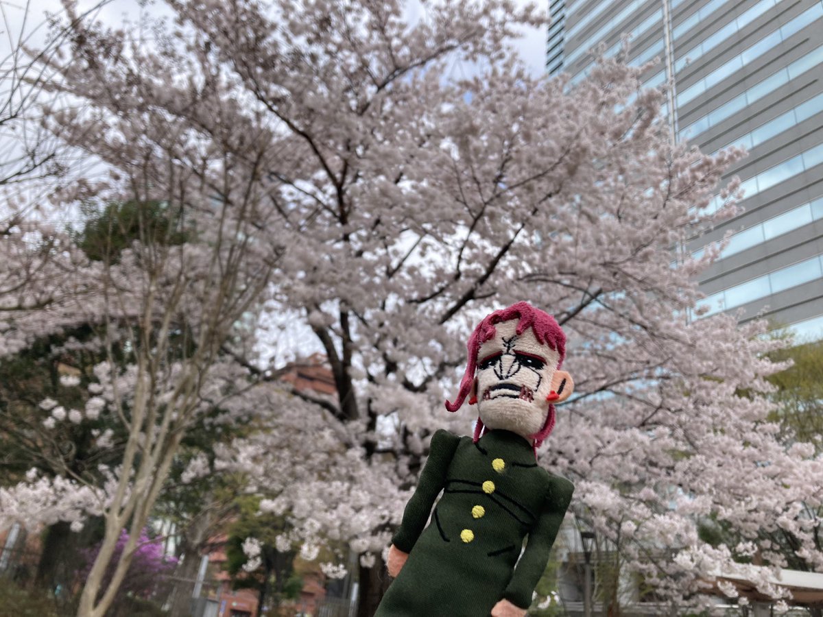 念願の花京院緑地へ来れました
🍒君、お花見中🌸