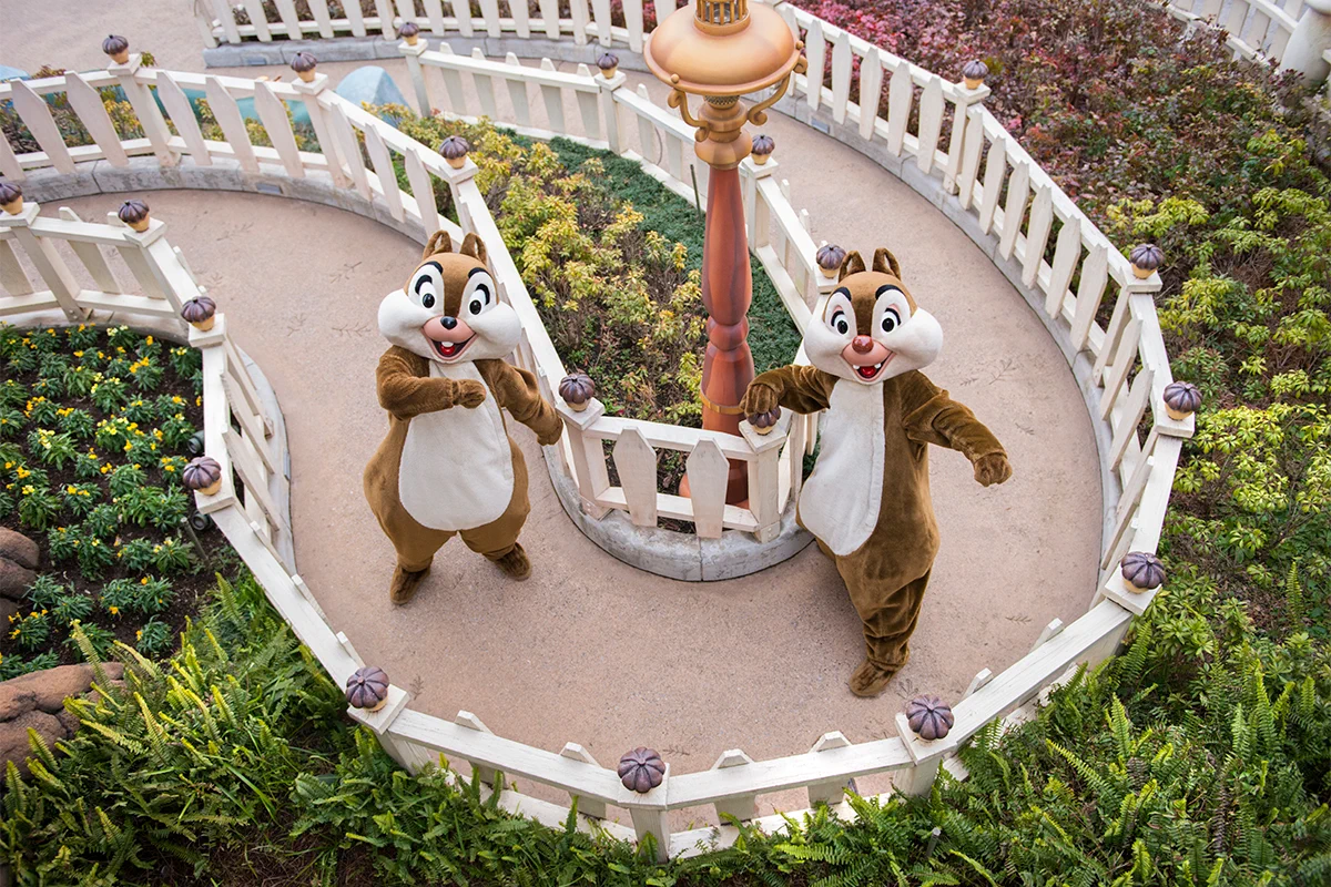 東京ディズニーリゾートPR【公式】 on X: 