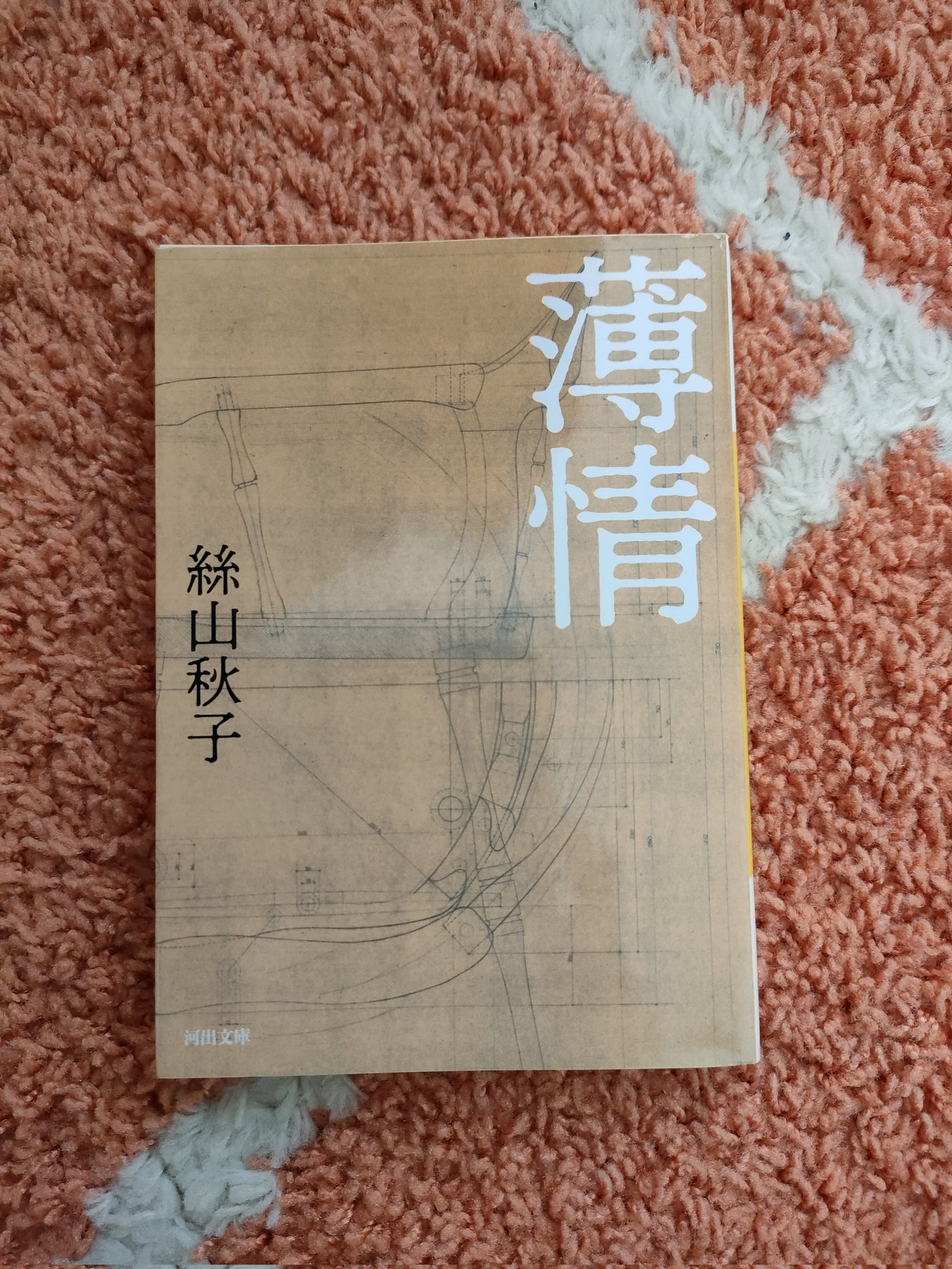 裏切りの街/河出書房新社/ポール・ケイン | www.jarussi.com.br