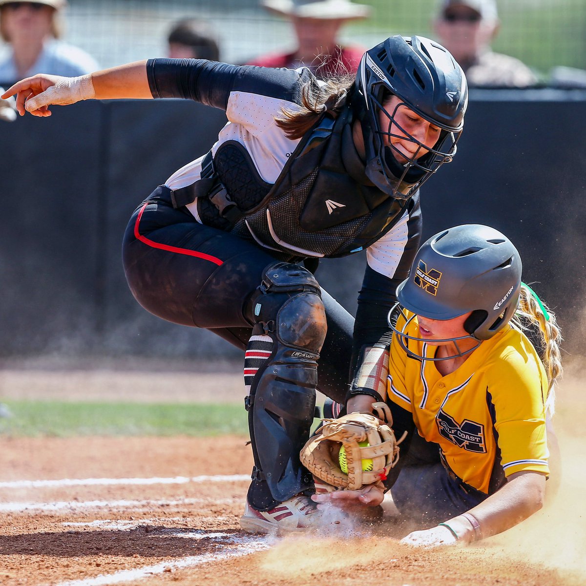 Jason Clark tweet media