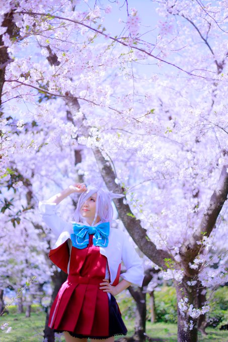 艦隊これくしょん 朝霜改二#艦隊これくしょん #艦これ #朝霜 #cosplay #コスプレ #桜 