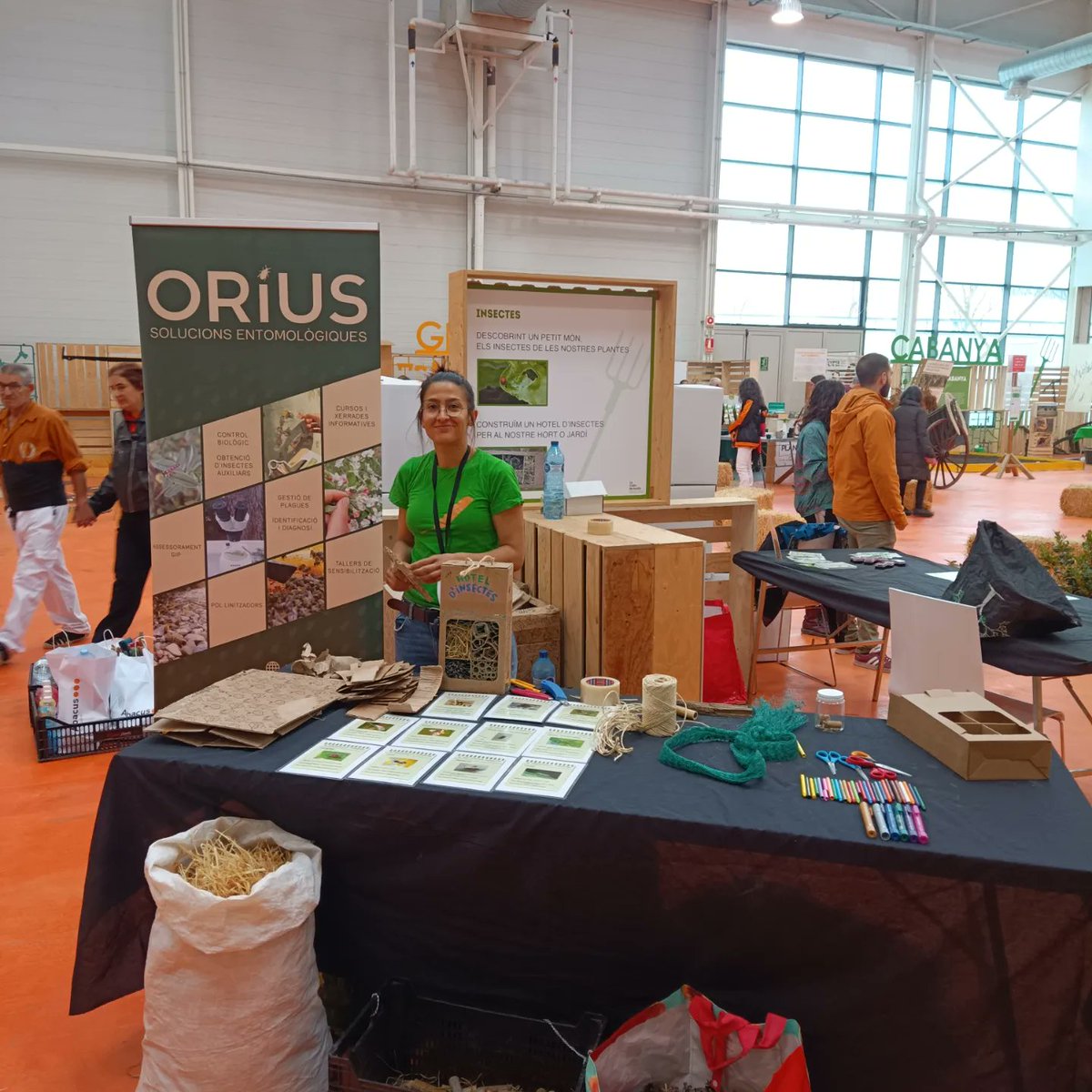 Orius_ento's tweet photo. Com cada any, fem tallers d'insectes a la casa del pagès del @mercatdelram . Fem un taller de construcció d'un hotel d'insectes i també busquem i observem els petits insectes de les plantes!!
@FiresVic 
#MercatdelRam2023 https://t.co/OPrDHWnKbv