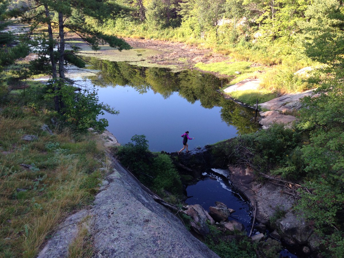 Baking soda, Norwegian training, and more: the latest Sweat Science email newsletter is out. Read (and sign up) here: mailchi.mp/alexhutchinson…