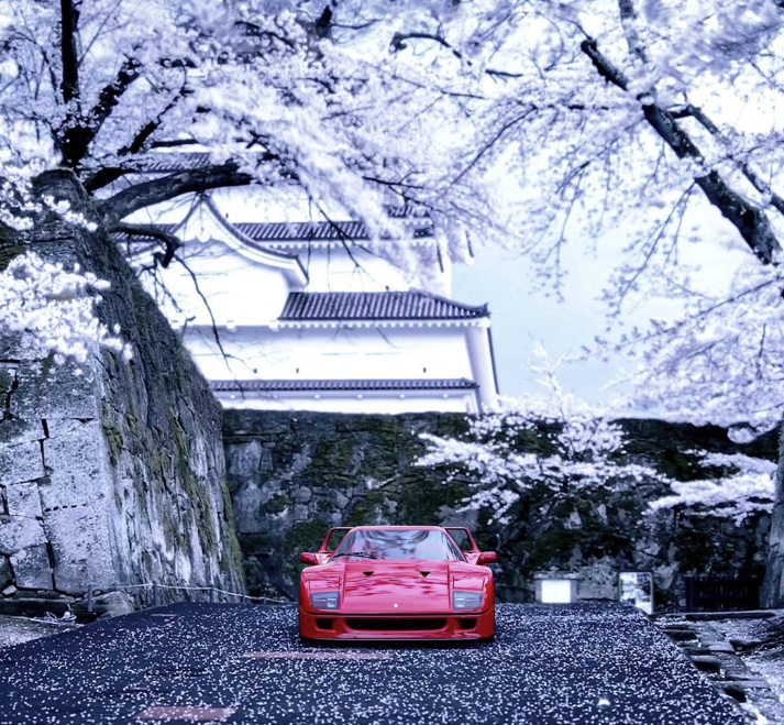 Ferrari F40 Beauty 

#classicferrari #ferrariclassic #ferrarif40 #f40 #f40lm #ferrarif50 #f50 #scuderiaferrari #ferrariracing #automotivedaily #cardrifting #carculture #ferrarienzo #enzo #ferrariracing #Ferrari #Bitcoin #luxurylifestyle #luxuryhomes #Japan #snow #cherryblossom