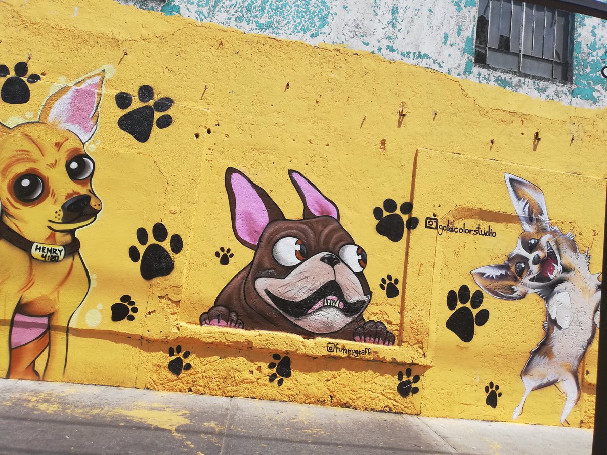MonnEliz's tweet photo. Murales bonitos, de lomitos. 🐾
#ColMorelos
#AlcaldiaVenustianoCarranza https://t.co/N4VxD38gwY