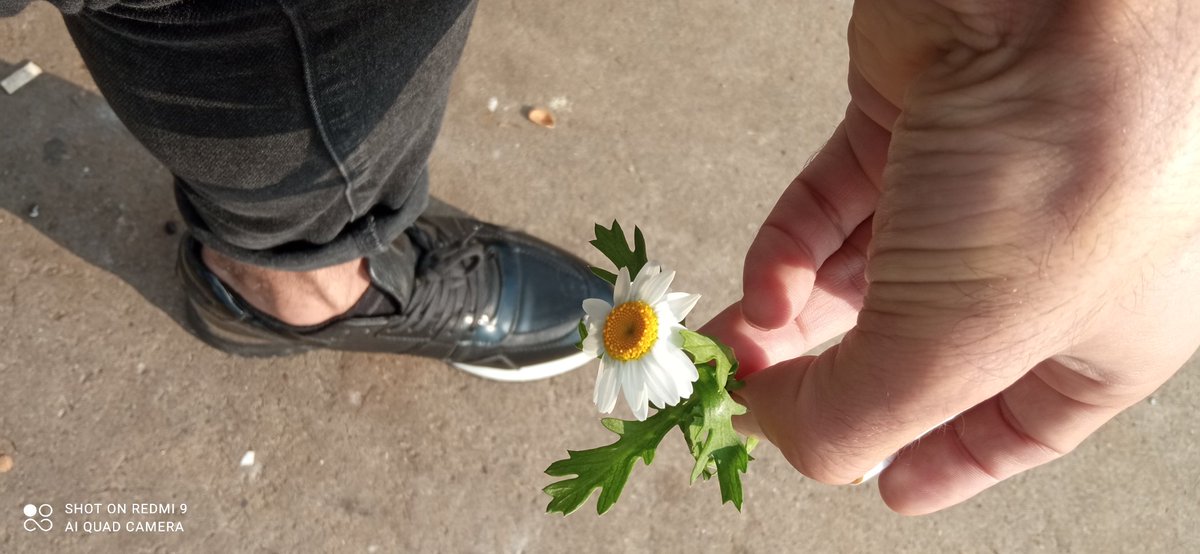 Tutunmaya değer olan 
sana tutunup bırakmayacak olandır..