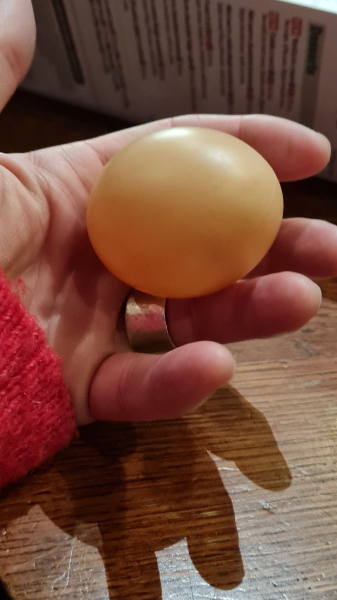JaniceFionaBell's tweet photo. #mothergoose #milleniumcentre probably my best night out in forever and met one of my heroes @IanMcKellen plus have an egg straight from good hand to mine.  What a cast. What a show. https://t.co/lCrF3esPyp