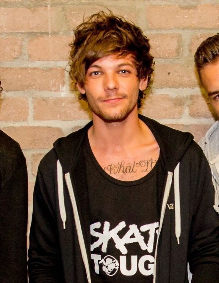 louis hedgehog (@lhdgehog) on Twitter photo 