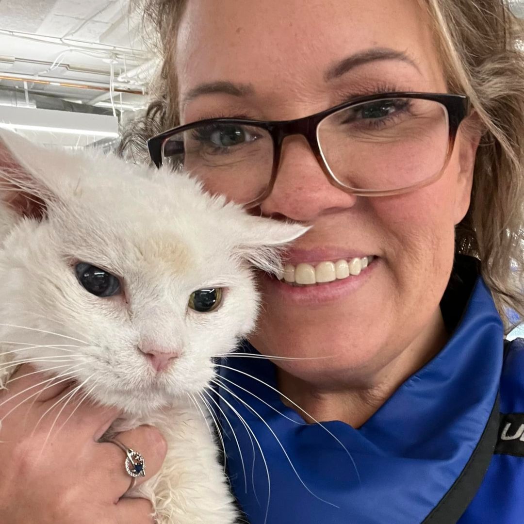 VEGERforpets's tweet photo. Firsts on firsts on the first! Say that 3x fast. Jokes aside, we continue to be impressed by our VEGgies!
👏 Veronica #VetAssistant - first blood draw on a bearded dragon
👏 Dawn #VetNurse - placed first central line in a cat
👏 Sam #VetAssistant - first radiographs on a conure https://t.co/sTiRaPt7By
