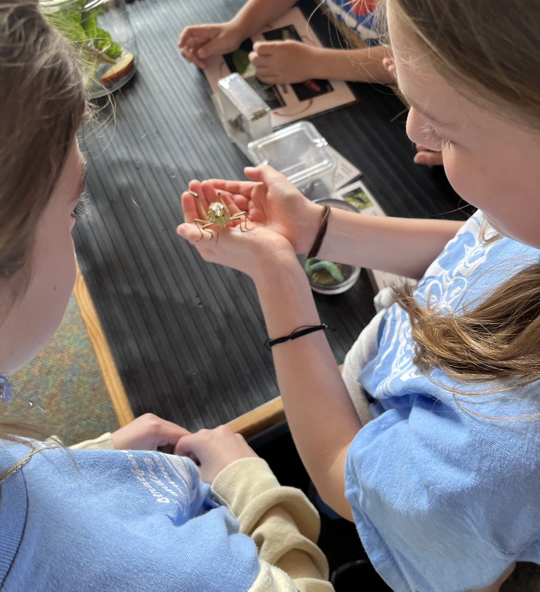 Samantha Wilds tweet media