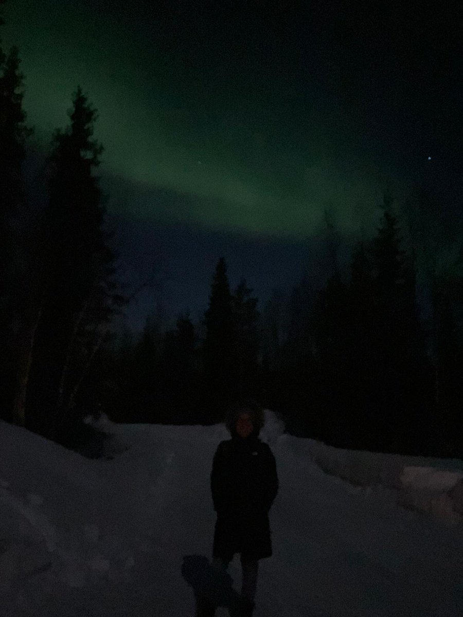 ClaudiaNeuropsi's tweet image. In Äkäslompolo, Finland (-8C). First night opening with a wonderful show in the sky (thanks to the #Aurorareach app!) The #LaP2023 conference could not start any better! #northernlights #dreamcometrue 🇫🇮