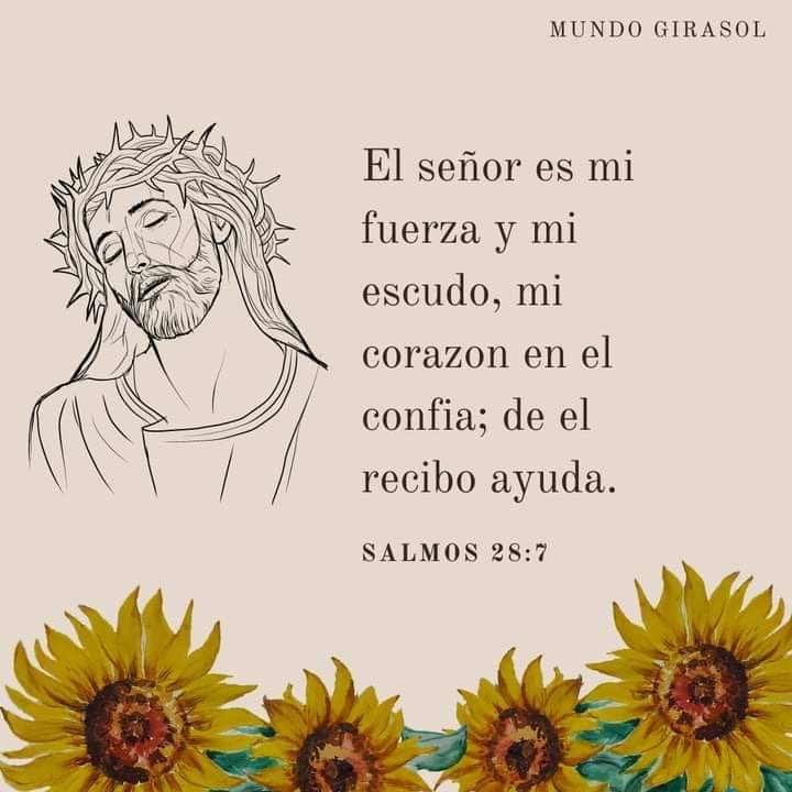 lupita_austtria's tweet photo. Amén 🙏🏻 https://t.co/bOtXbqAzX4