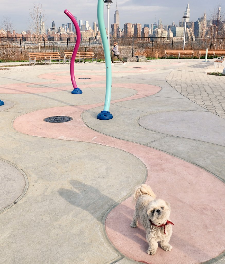 Happy April 1st! ☘️🌻 Ruby's loving this weather! 🐶♥️🙂