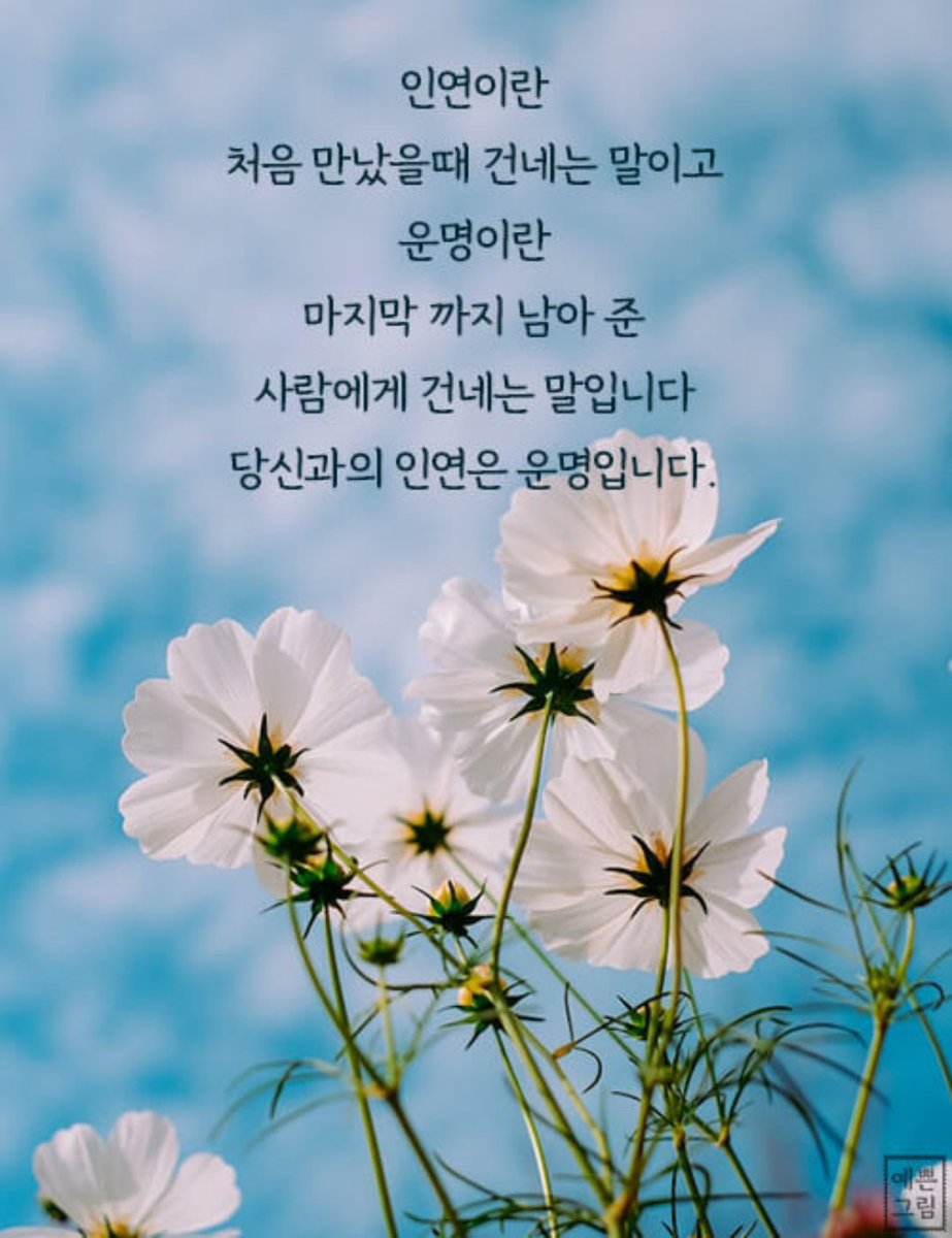 좋은 인연
우리는 운명이죠♡