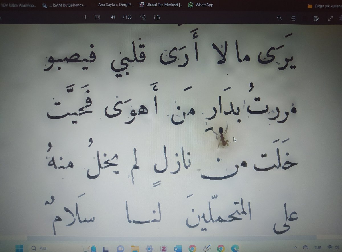sevgilinin diyarına şairden önce ulaşan karınca