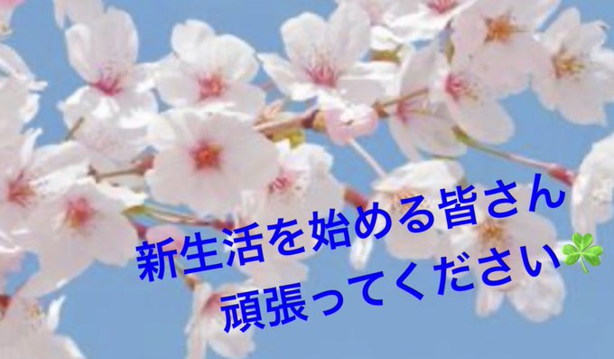 数々の住居用品を買われてる方…トラックから荷物を下ろしてアパートへ運んでる方…4月ですね🌸昨日たくさん見かけましたよ♡*