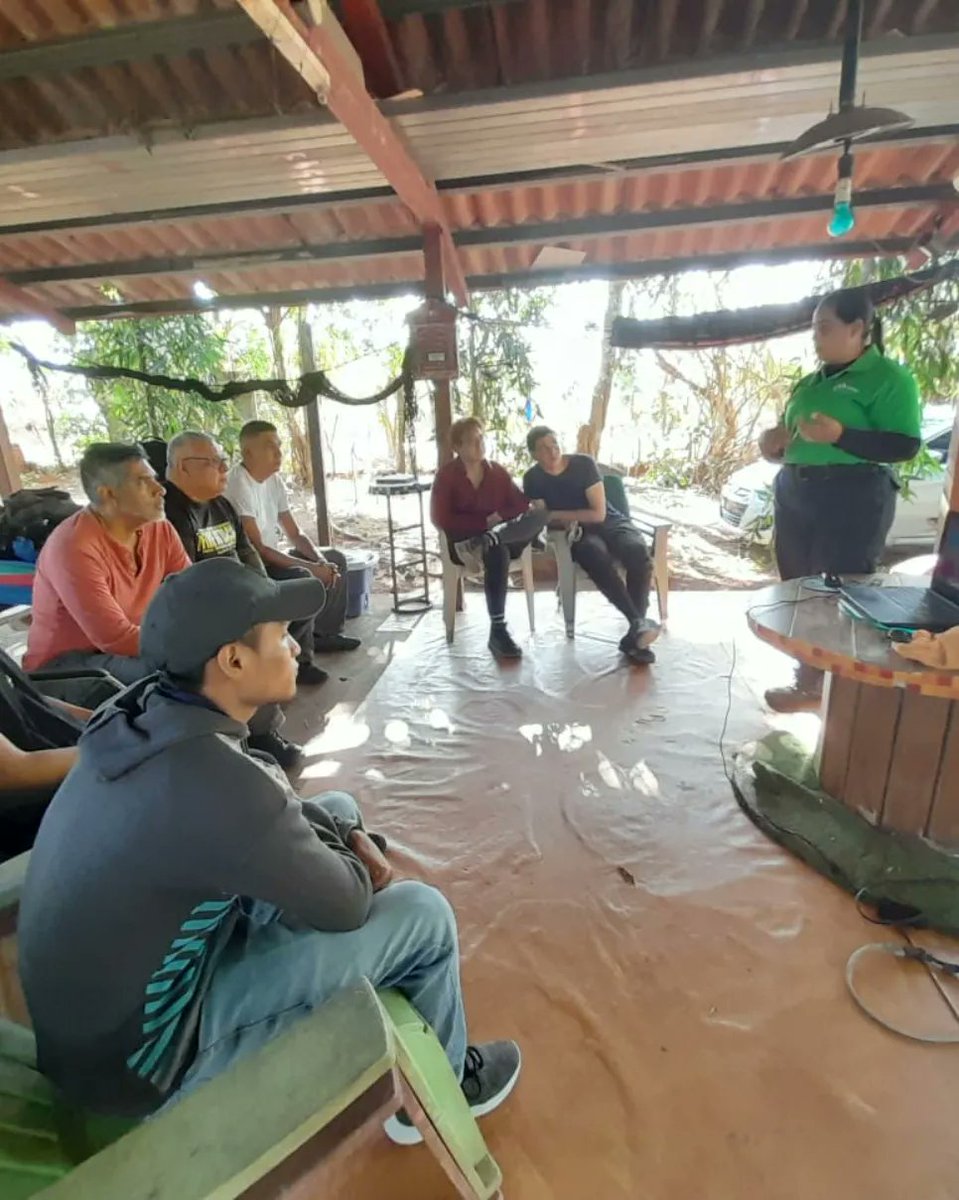 sanjosefusave's tweet photo. En  el  día de hoy  se realizó el taller Acuatico 1  en el  #RioUtive en #Pacora .Esta actividad fue  organizada  por  #FUSAVE y #greensquad .Se busca tener conocimientos  en nado  y otrs  acciones. #fusaveactividades #biodiversidad https://t.co/Q5PIEGBqUl
